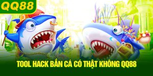 tool-hack-ban-ca-co-that-khong-qq88